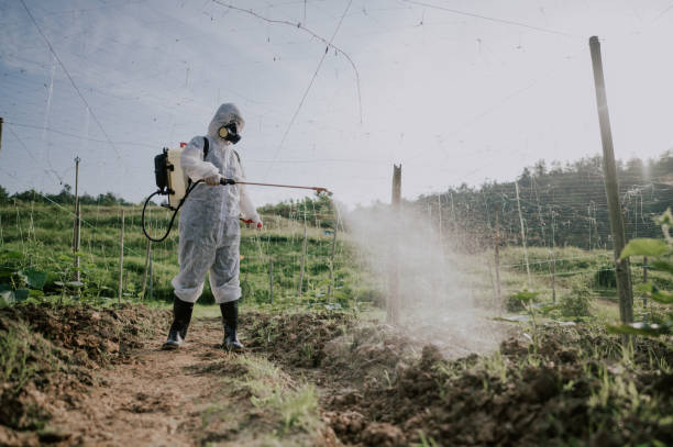 Best Affordable Pest Control Services  in Unalaska, AK