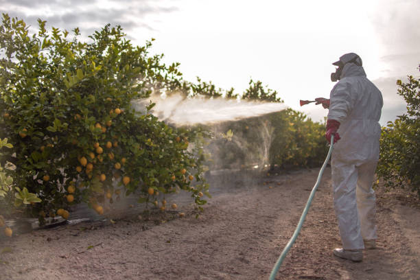 Best Flea Control Services  in Unalaska, AK
